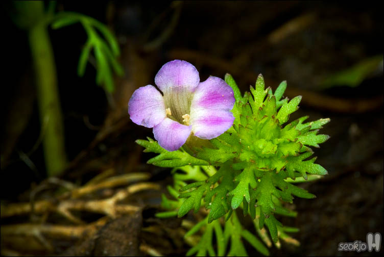 DSCF1054.jpg