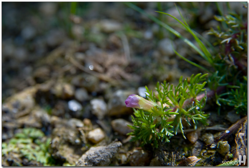 DSCF1413.jpg