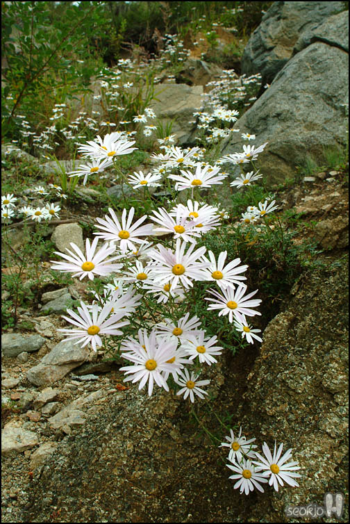 DSCF9623.jpg