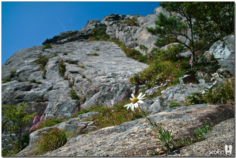DSCF1274.jpg