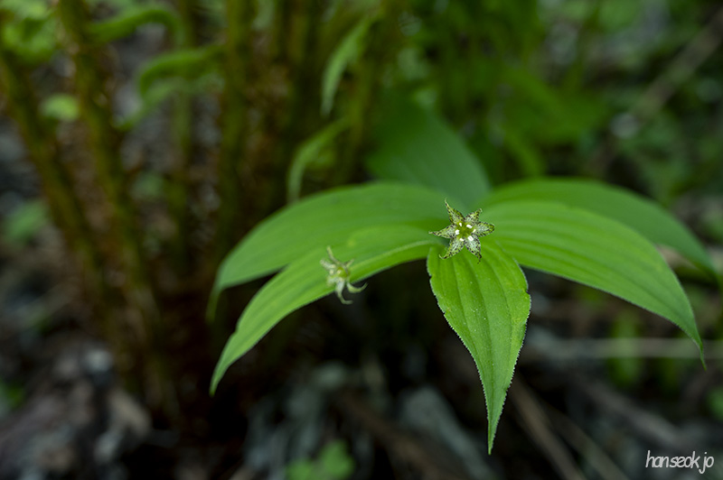 DSC_5153.jpg