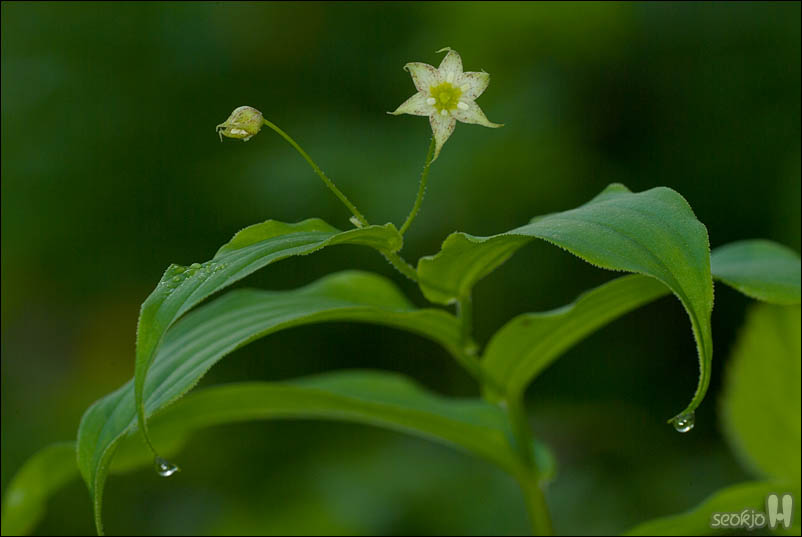 DSCF3762.jpg