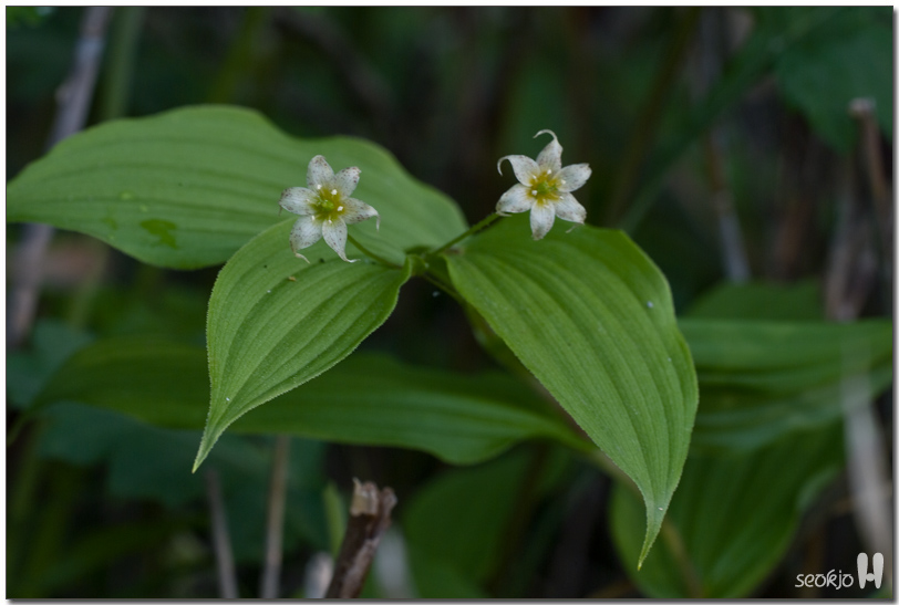 DSCF8579.jpg