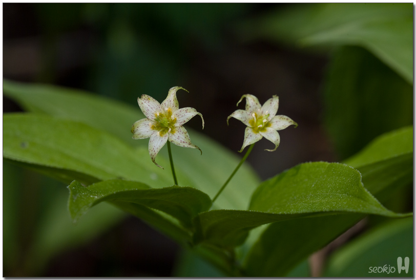DSCF8580.jpg