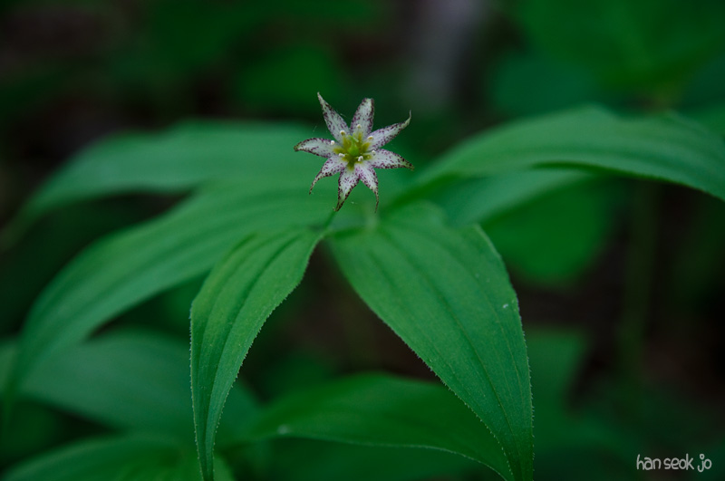 DSC_1683.jpg