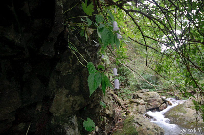 DSC_8290.jpg