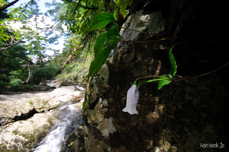 DSC_8325.jpg