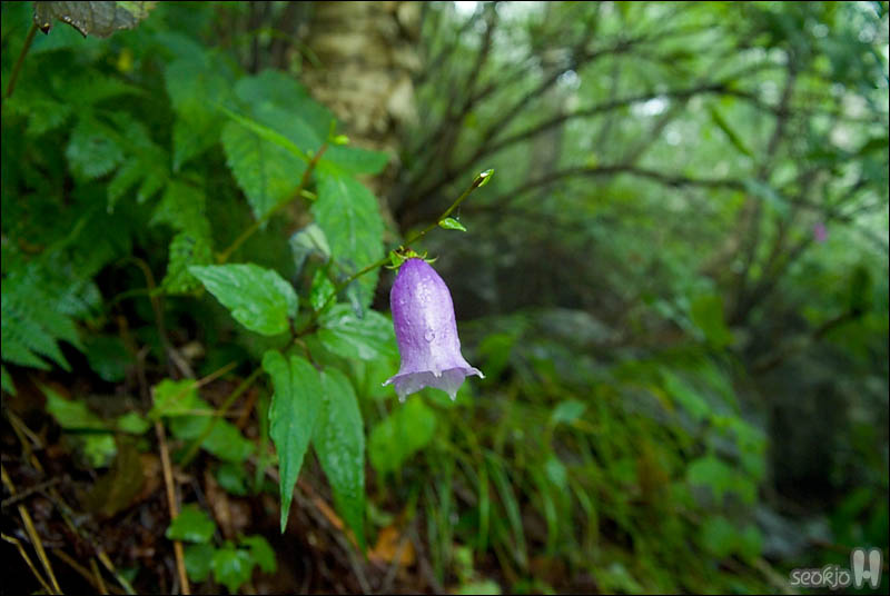 DSCF4860.jpg