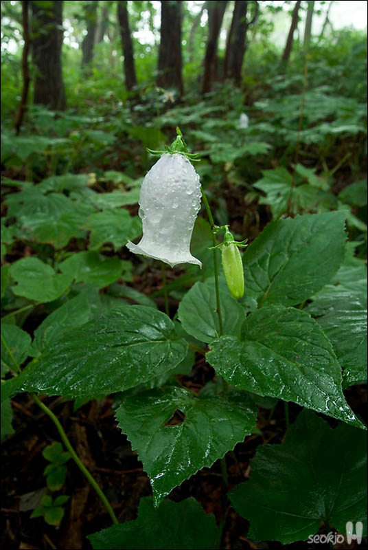 DSCF5057.jpg