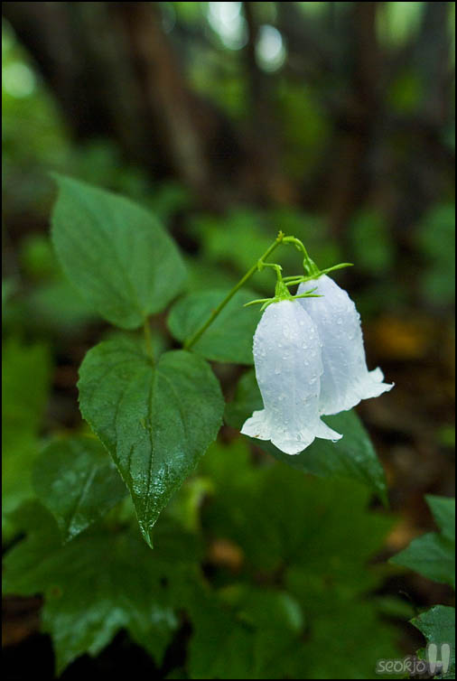 DSCF3528.jpg