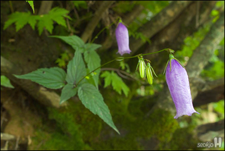 DSCF8698.jpg