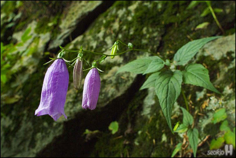 DSCF8742.jpg