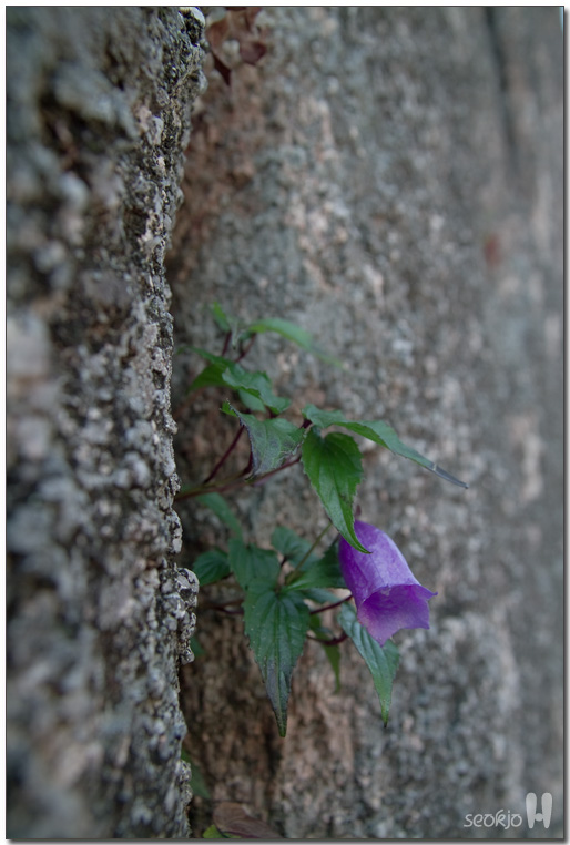 DSCF1295.jpg