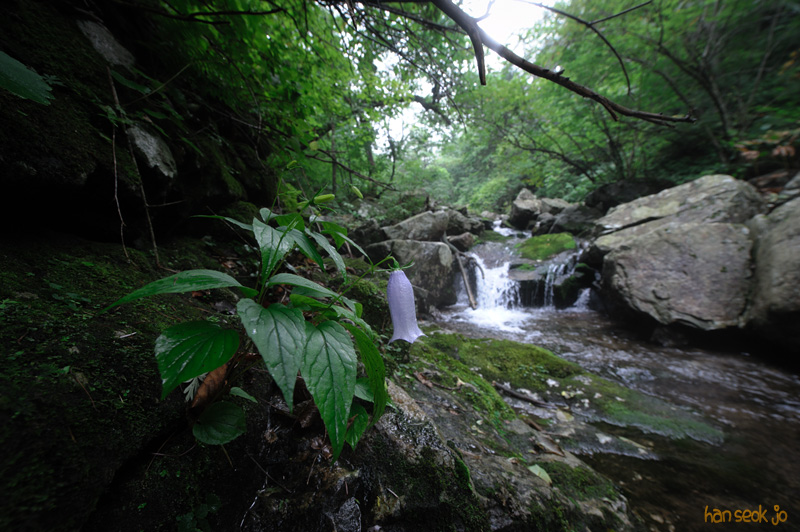 HSJ_2642.jpg