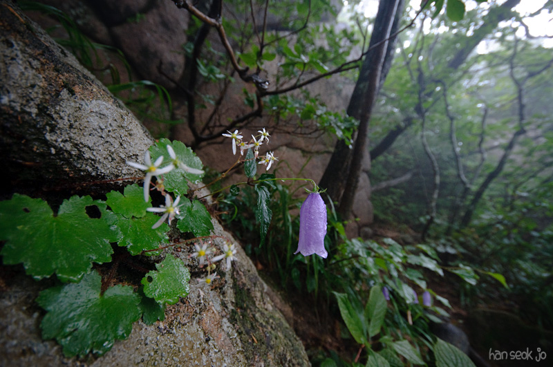 DSC_8104.jpg