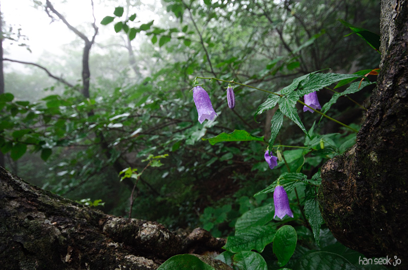 DSC_8102.jpg