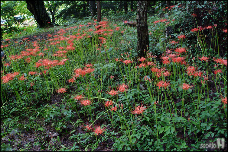 DSCF9386.jpg