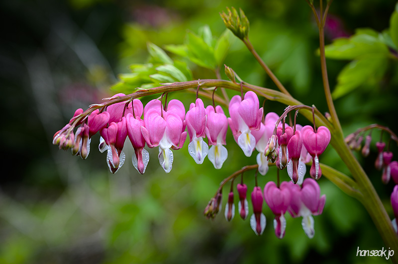 DSC_2261.jpg