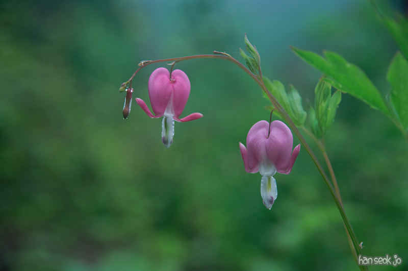 DSC_6492.jpg