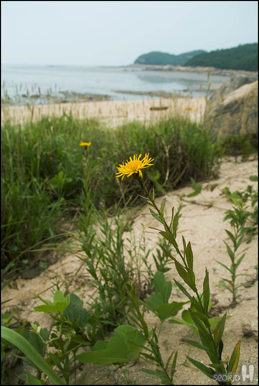 DSCF3091.jpg