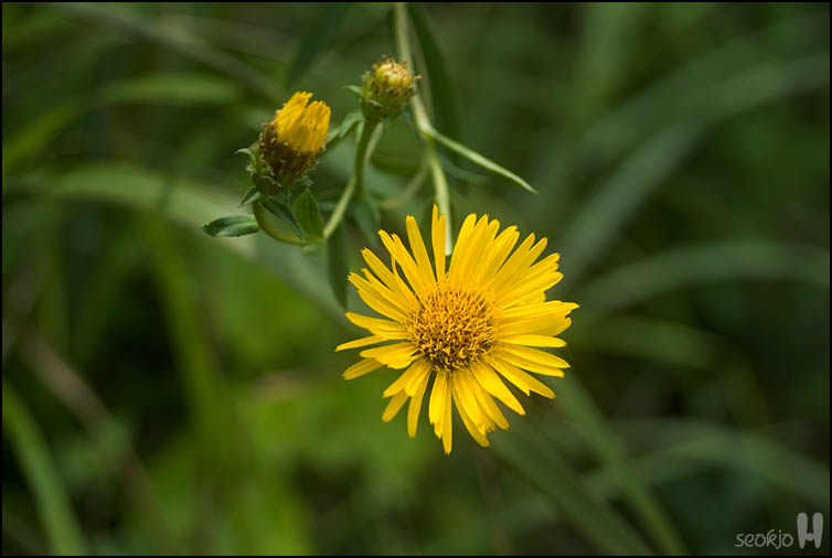 DSCF3093.jpg