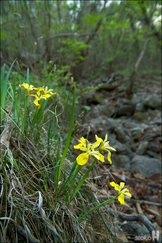 DSCF3475.jpg