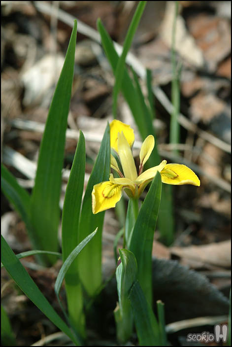 DSCF6174.jpg