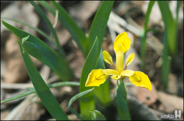 DSCF6176.jpg