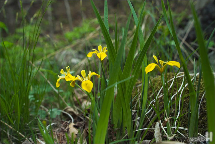 DSCF0175.jpg