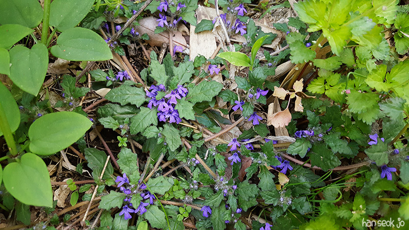 20180420_081659.jpg