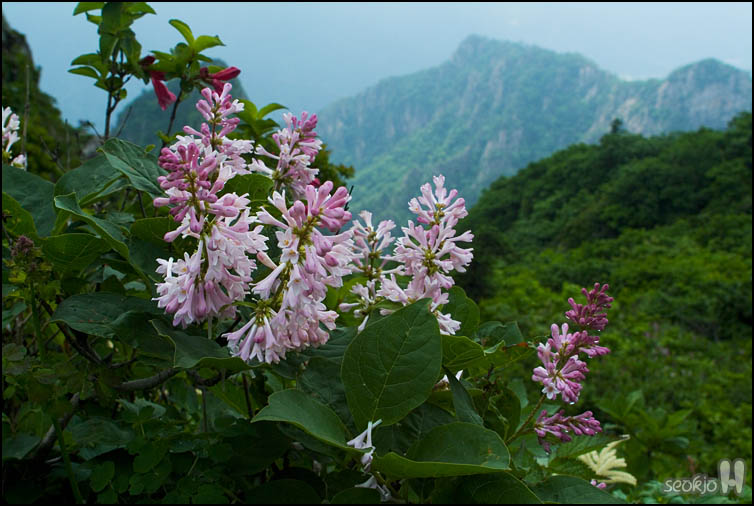 DSCF1871.jpg