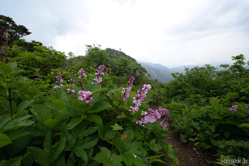 HSJ_9223.jpg
