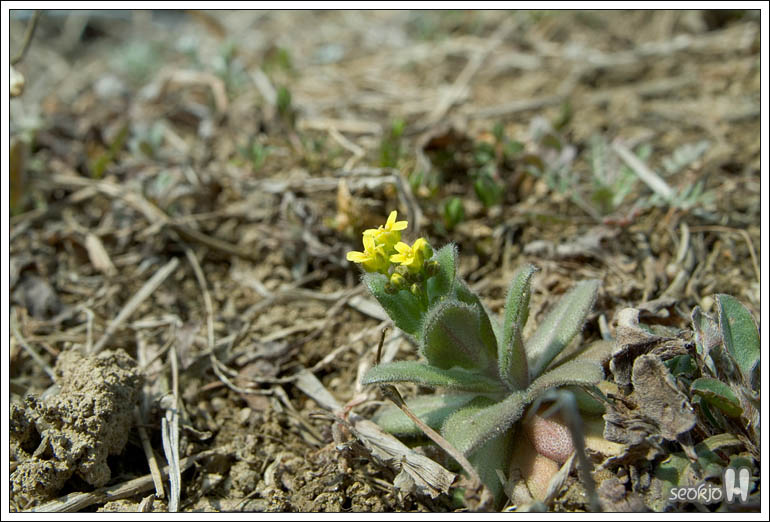 DSCF6382.jpg