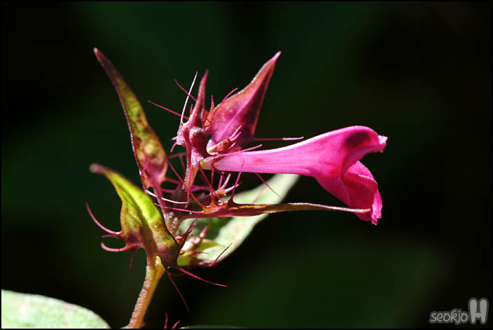 DSCF2183.jpg