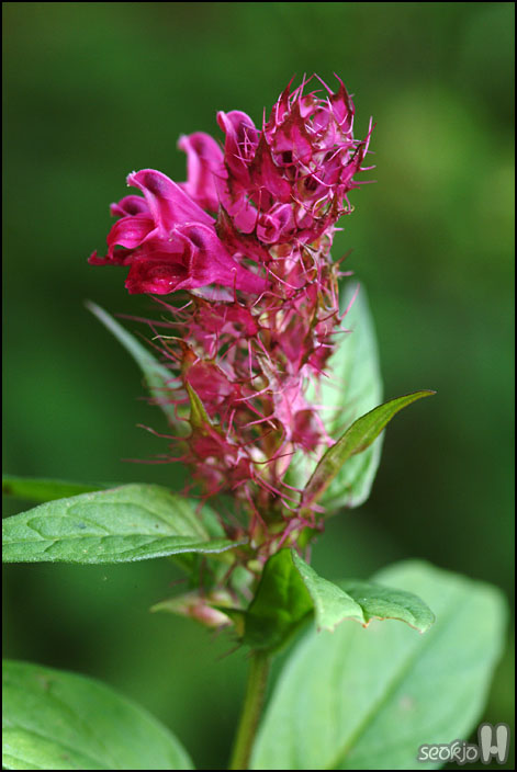 DSCF1575.jpg