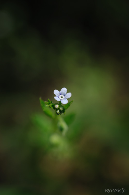 HSJ_3265.jpg