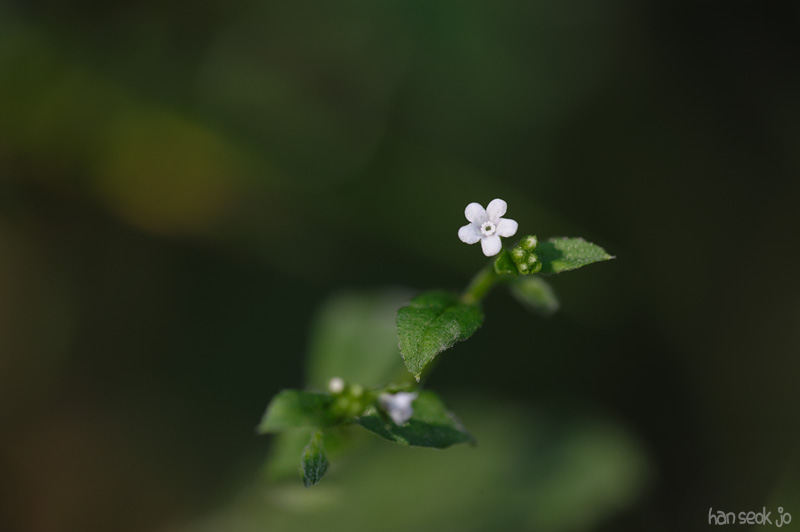 HSJ_3573.jpg