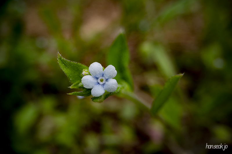 DSC_5007.jpg