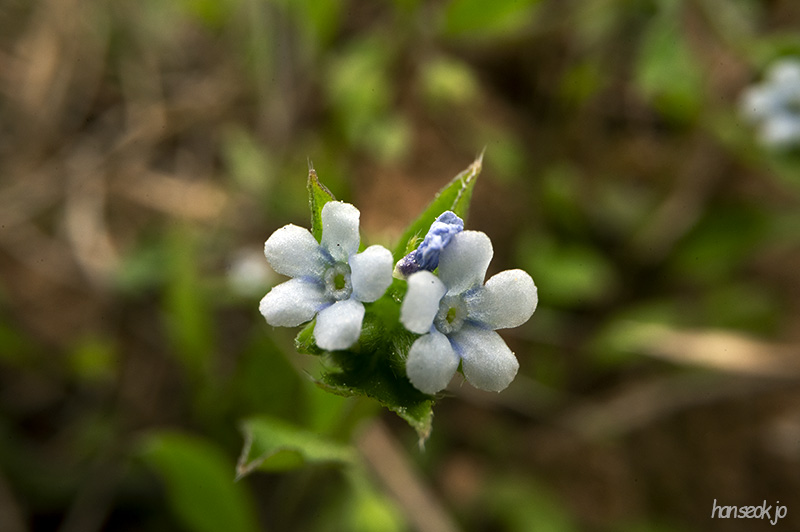 DSC_5012.jpg