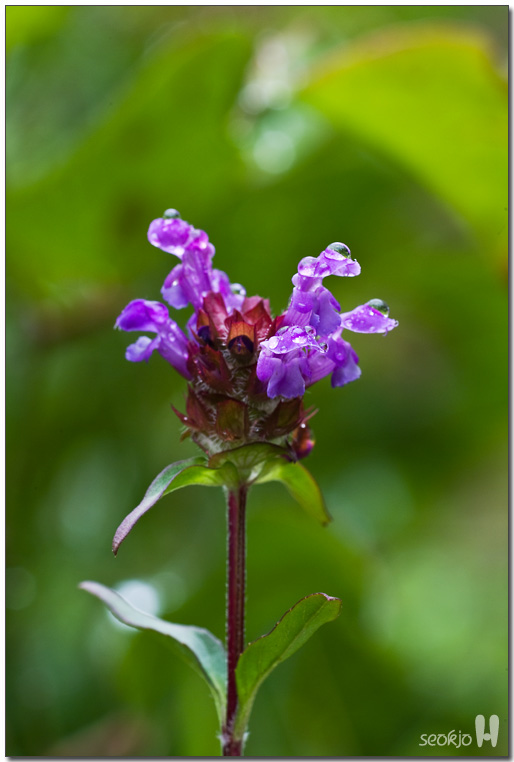 DSCF8804.jpg
