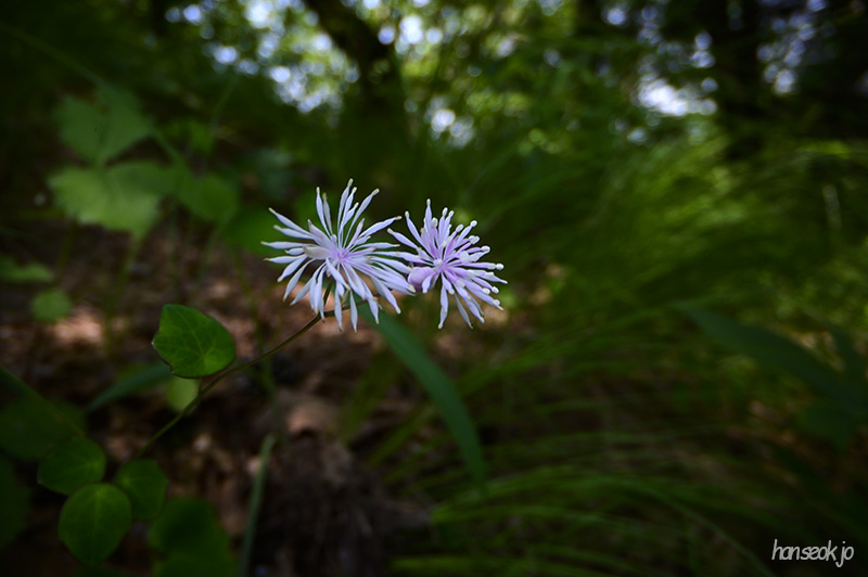 DSC_2883.jpg