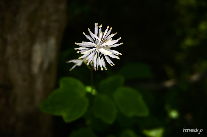 DSC_2894.jpg