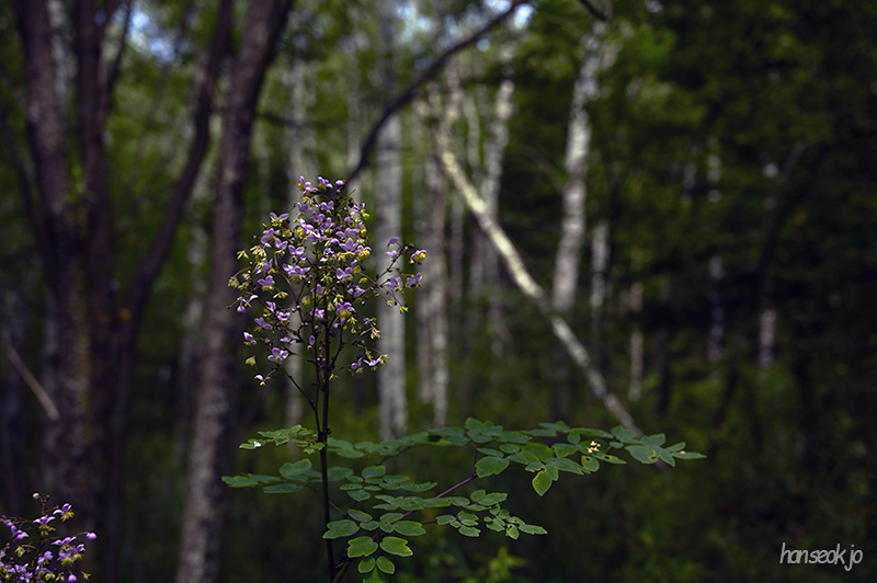 DSC_4315.jpg