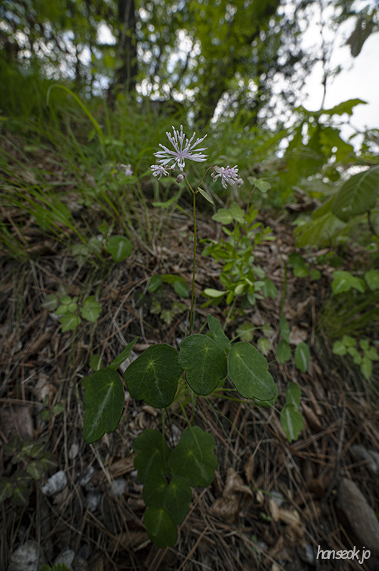 DSC_5075.jpg