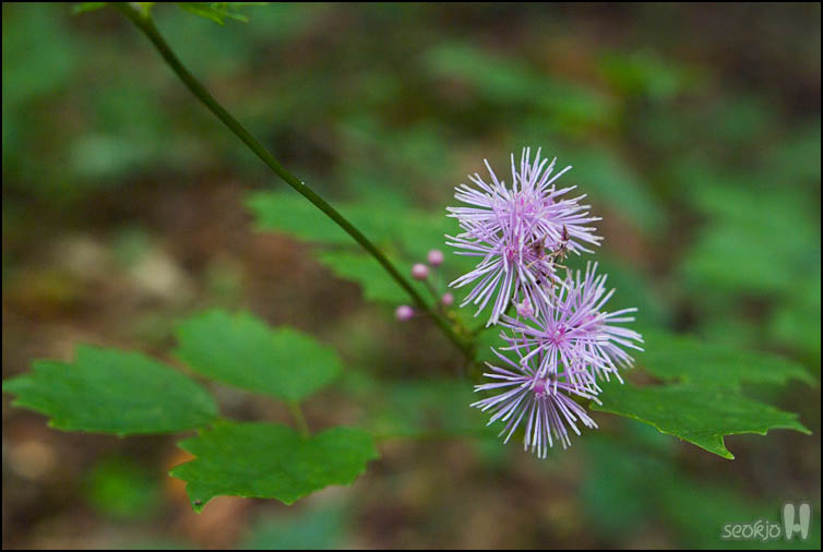 DSCF8513.jpg
