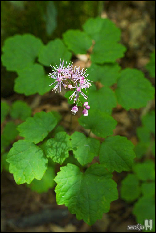 DSCF8519.jpg