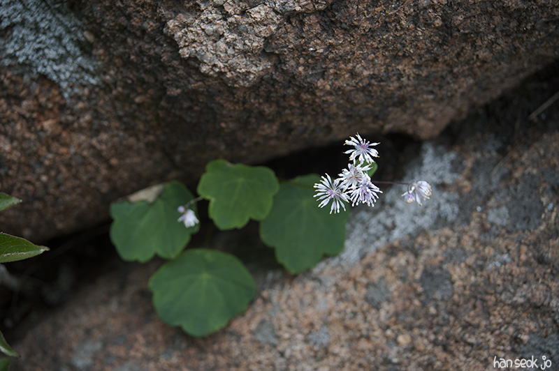 HSJ_5940.jpg