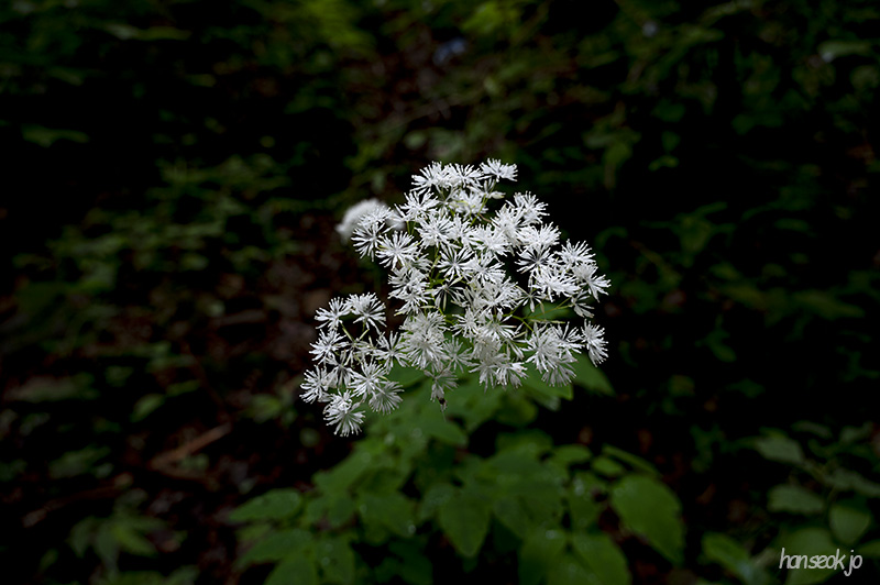 DSC_0067.jpg