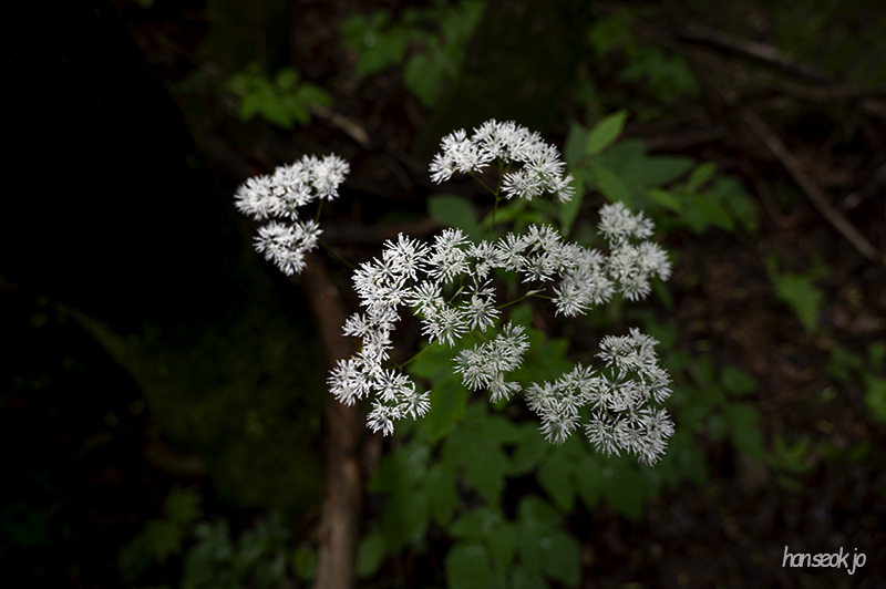 DSC_0066.jpg