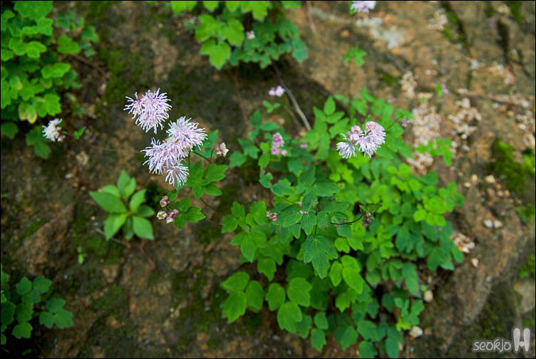 DSCF9908.jpg